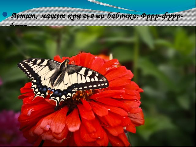 В гости к солнышку