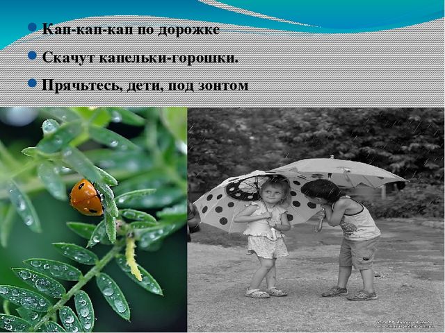 В гости к солнышку