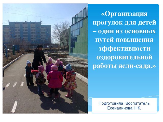 Презентация дошкольное образование "Прогулка"