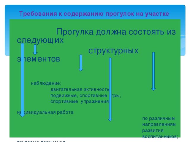 Презентация дошкольное образование "Прогулка"