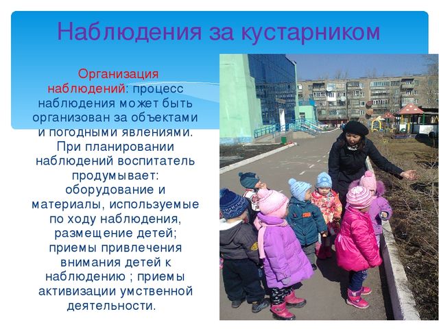 Презентация дошкольное образование "Прогулка"