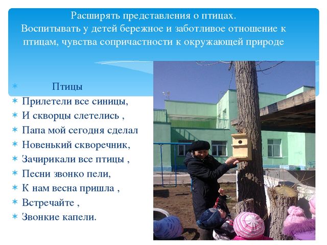 Презентация дошкольное образование "Прогулка"