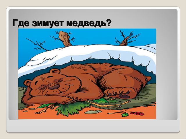 Презентация по ознакомлению сокружающим миром"Книга загадок"