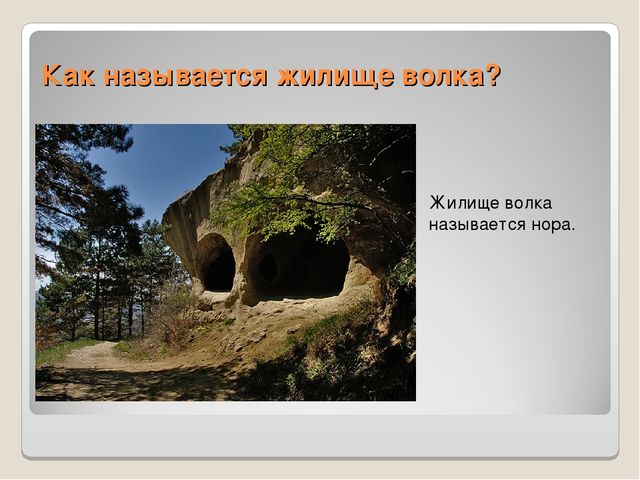 Презентация по ознакомлению сокружающим миром"Книга загадок"