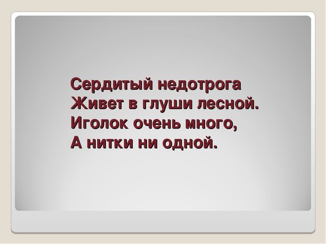 Презентация по ознакомлению сокружающим миром"Книга загадок"