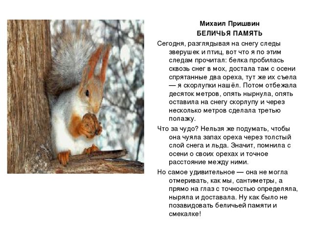 Презентация по художественно-эстетическому развитию на тему:"Анималистический жанр живописи"