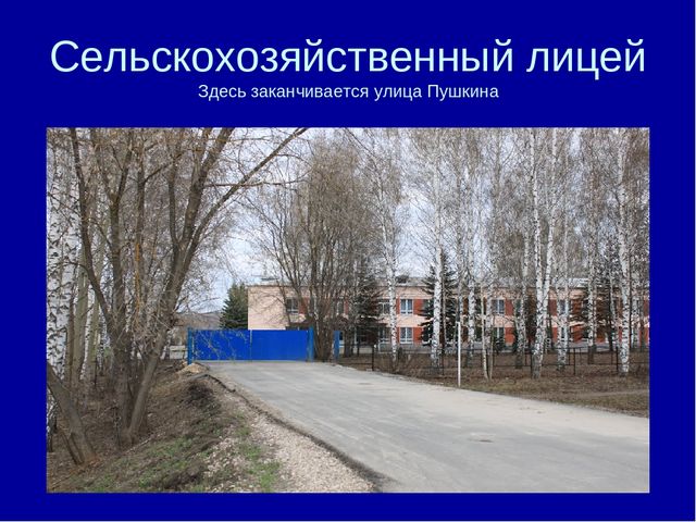 Презентация "Почему так улицу назвали"