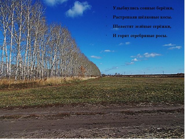 Презентация на тему: "Природа родного края"