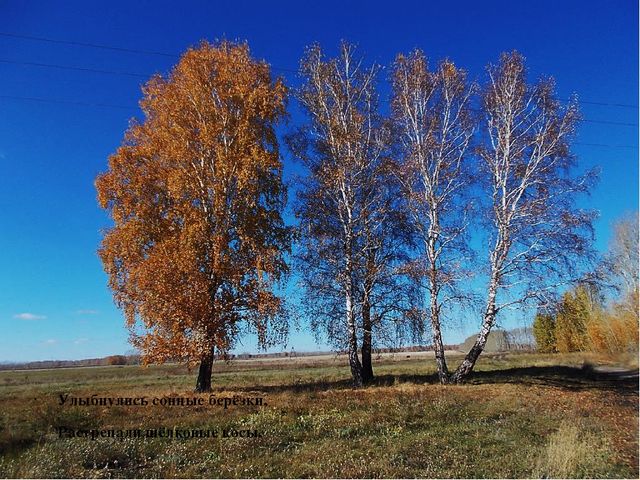 Презентация на тему: "Природа родного края"