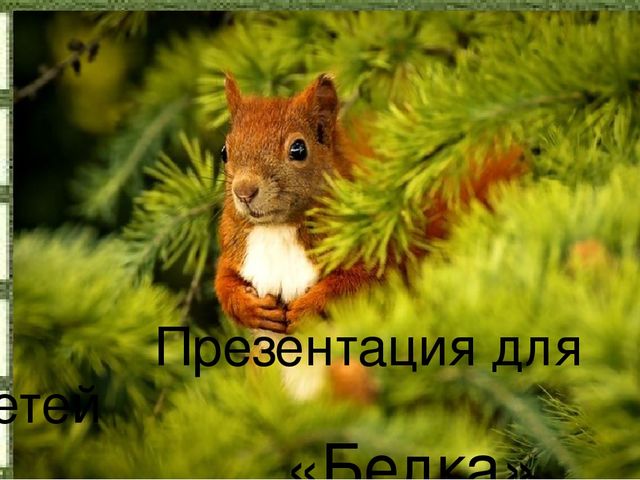 Слайд на занятие по Естествознанию
