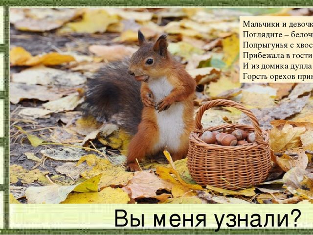 Слайд на занятие по Естествознанию