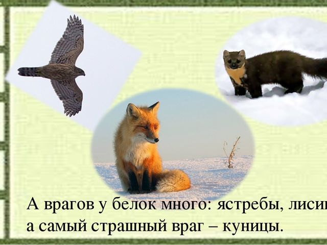 Слайд на занятие по Естествознанию