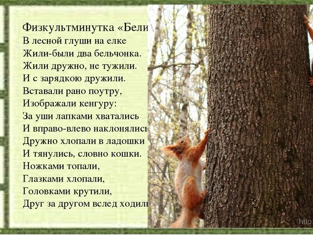 Слайд на занятие по Естествознанию
