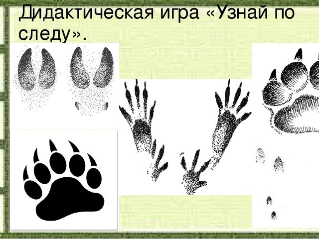 Слайд на занятие по Естествознанию