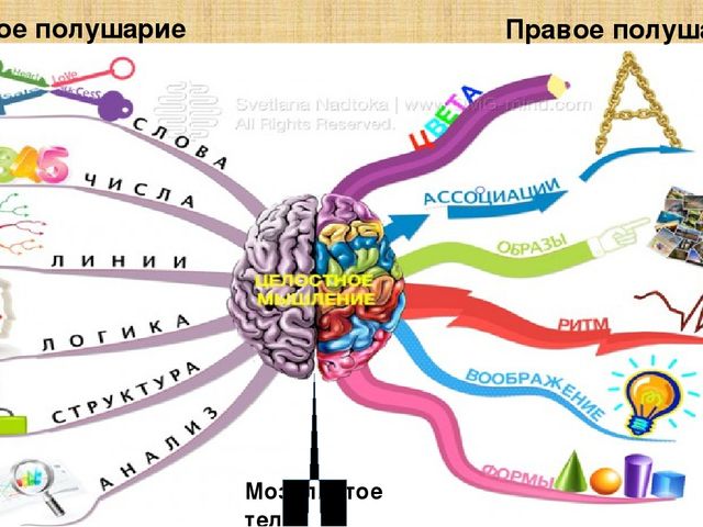 Презентация на тему "Кинезиологические упражнения"
