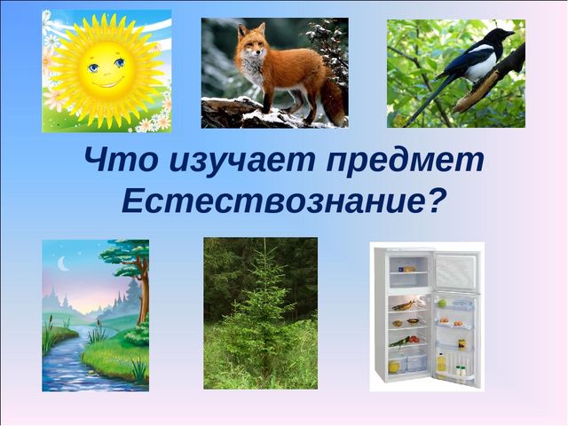 Презентация по предмету Естествознания. "Что изучает предмет Естествознание?"