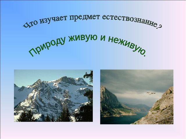 Презентация по предмету Естествознания. "Что изучает предмет Естествознание?"