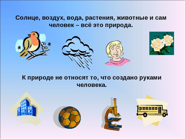 Презентация по предмету Естествознания. "Что изучает предмет Естествознание?"