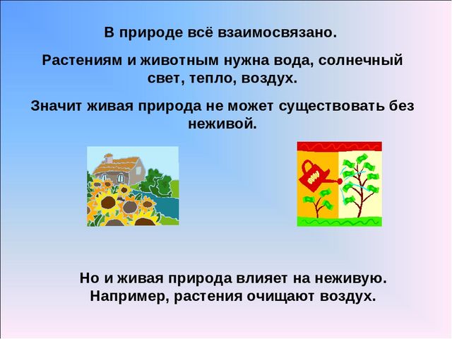Презентация по предмету Естествознания. "Что изучает предмет Естествознание?"