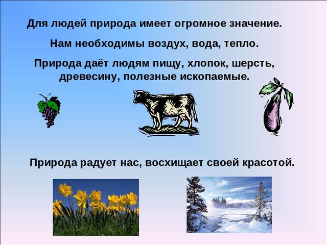Презентация по предмету Естествознания. "Что изучает предмет Естествознание?"
