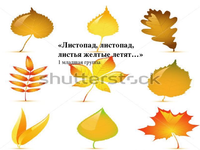 Презентация ! мл.гр Естествознание "Листопад, листопад листья желтые летят"