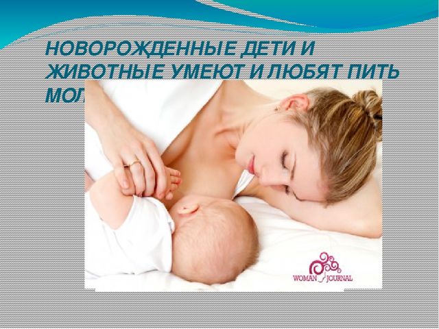 Презентация к занятию по теме:"Молоко. Молочные продукты"