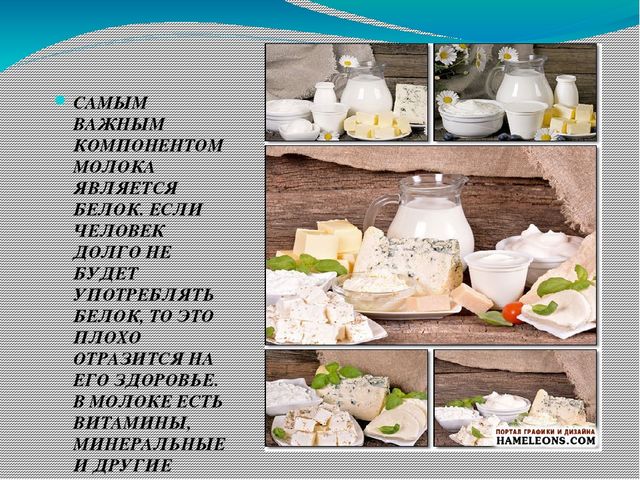 Презентация к занятию по теме:"Молоко. Молочные продукты"