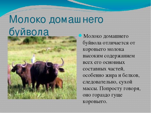 Презентация к занятию по теме:"Молоко. Молочные продукты"