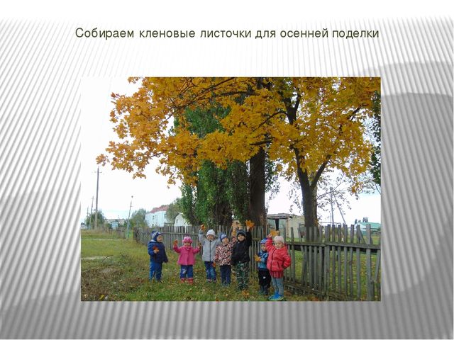 Презентация проекта по познавательному развитию на тему "Осень в золотом наряде" в младшей группе.