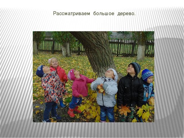Презентация проекта по познавательному развитию на тему "Осень в золотом наряде" в младшей группе.