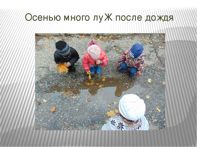 Презентация проекта по познавательному развитию на тему "Осень в золотом наряде" в младшей группе.