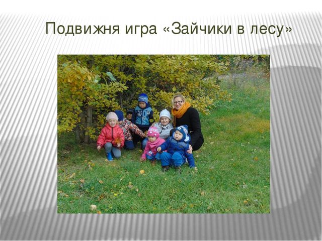 Презентация проекта по познавательному развитию на тему "Осень в золотом наряде" в младшей группе.