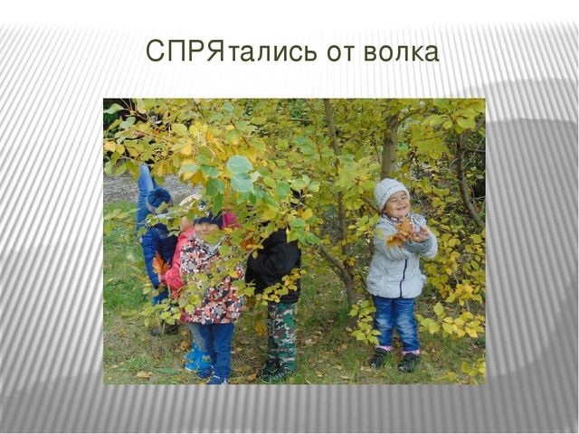 Презентация проекта по познавательному развитию на тему "Осень в золотом наряде" в младшей группе.