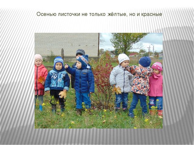 Презентация проекта по познавательному развитию на тему "Осень в золотом наряде" в младшей группе.