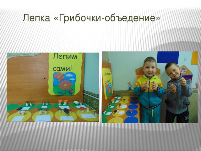 Презентация проекта по познавательному развитию на тему "Осень в золотом наряде" в младшей группе.