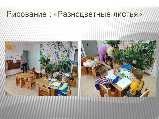 Презентация проекта по познавательному развитию на тему "Осень в золотом наряде" в младшей группе.