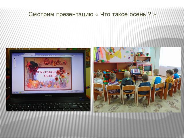 Презентация проекта по познавательному развитию на тему "Осень в золотом наряде" в младшей группе.
