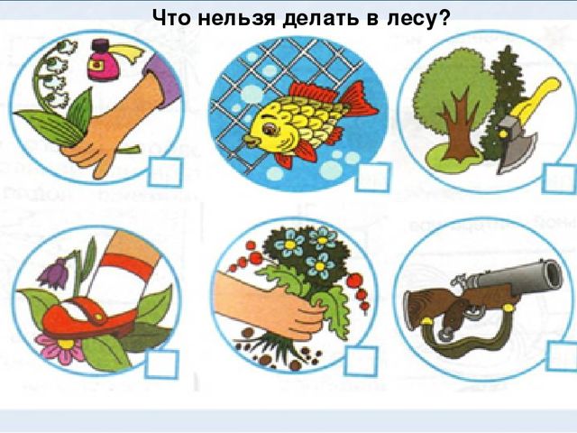 Презентация по познавательному развитию "Береги природу"