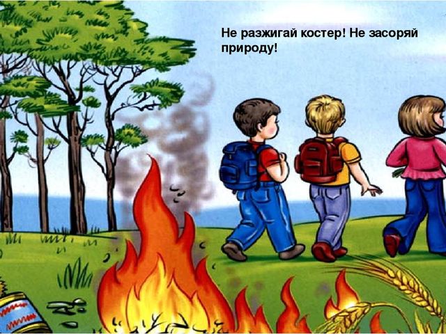 Презентация по познавательному развитию "Береги природу"