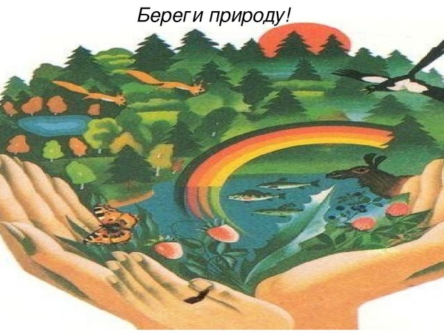 Презентация по познавательному развитию "Береги природу"