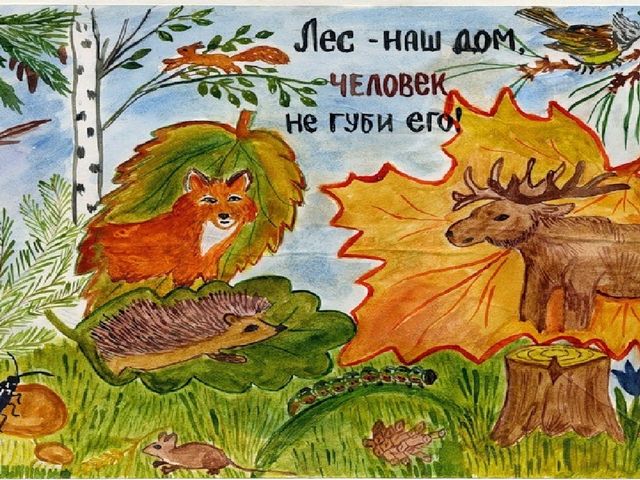 Презентация по познавательному развитию "Береги природу"