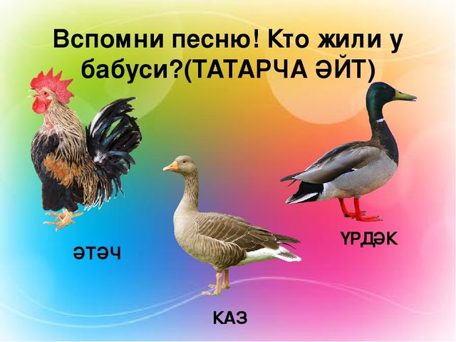 Презентация на тему "Изучение татарского языка в ДОУ"