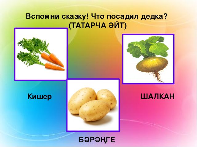 Презентация на тему "Изучение татарского языка в ДОУ"