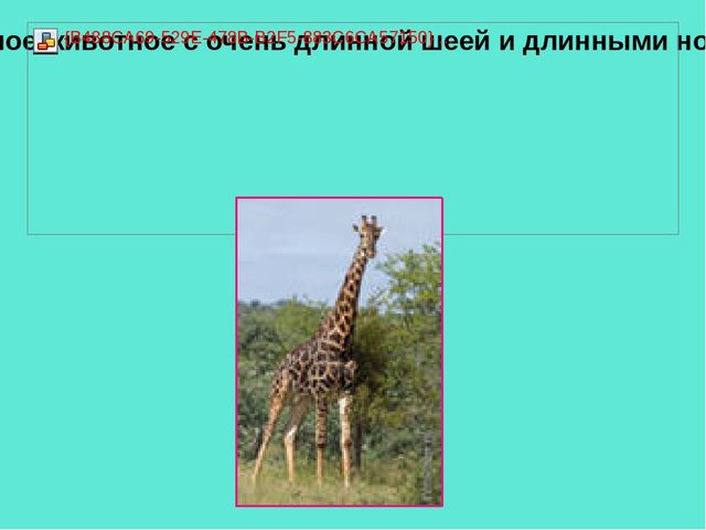 Презентация педагогической мастерской "Обучение грамоте детей дошкольного возраста"