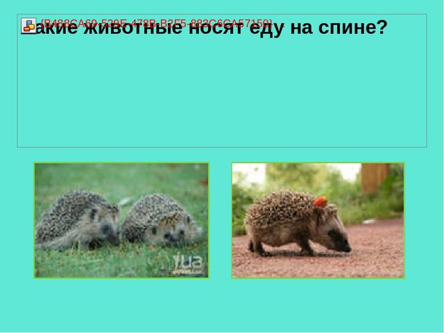 Презентация педагогической мастерской "Обучение грамоте детей дошкольного возраста"