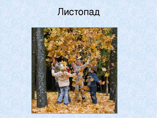 Презентация на тему: "Мы идём лесной тропой"