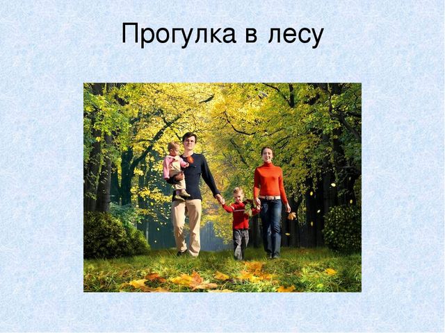 Презентация на тему: "Мы идём лесной тропой"
