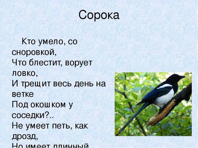 Презентация на тему: "Мы идём лесной тропой"