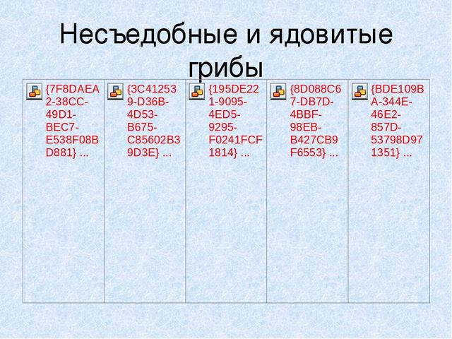 Презентация на тему: "Мы идём лесной тропой"