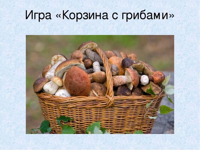 Презентация на тему: "Мы идём лесной тропой"